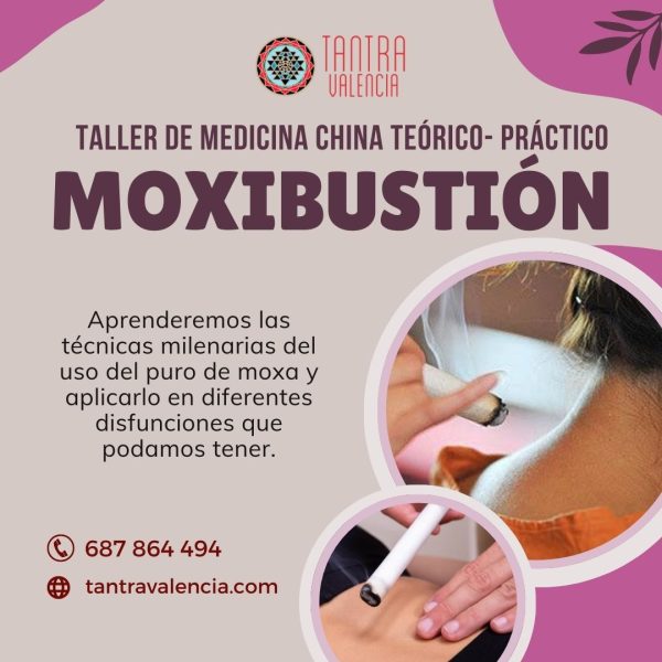 Taller de Moxibustión Calicanto (Valencia) 60€